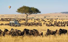 Maasai Mara Tour Package
